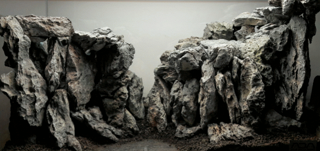 20161126_095507-ANIMATION.gif