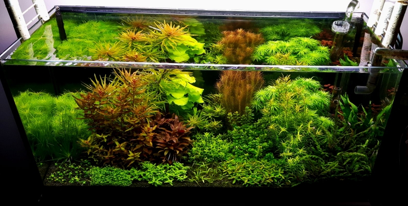 20161208_190349.jpg
