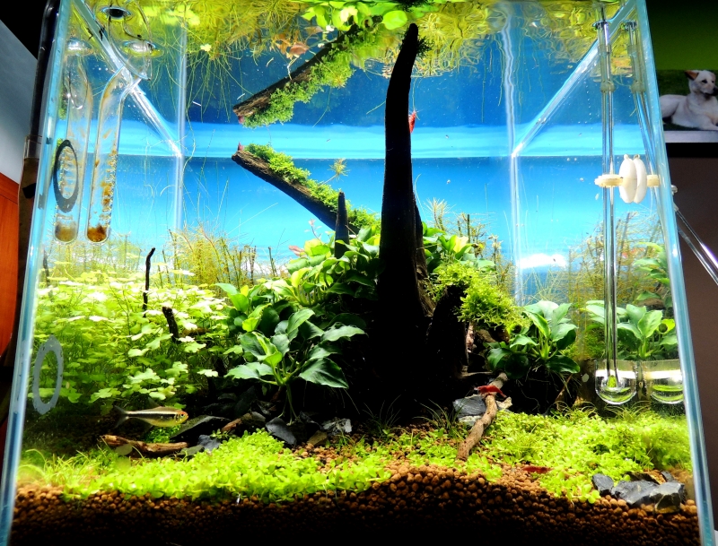 p10.JPG