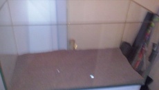 Szafka niby ADA 80x40x80H