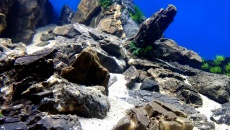 500l - The Pirate Corner - Prospero