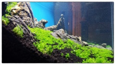 500l - The Pirate Corner - Prospero