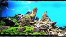 500l - The Pirate Corner - Prospero
