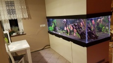 1200l - W ścianie - manxxxx