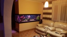 1200l - W ścianie - manxxxx