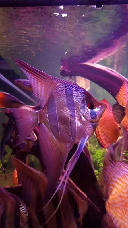 20161022_215204.jpg
