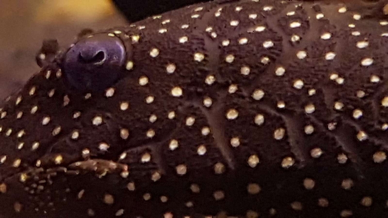 20161023_214045.jpg