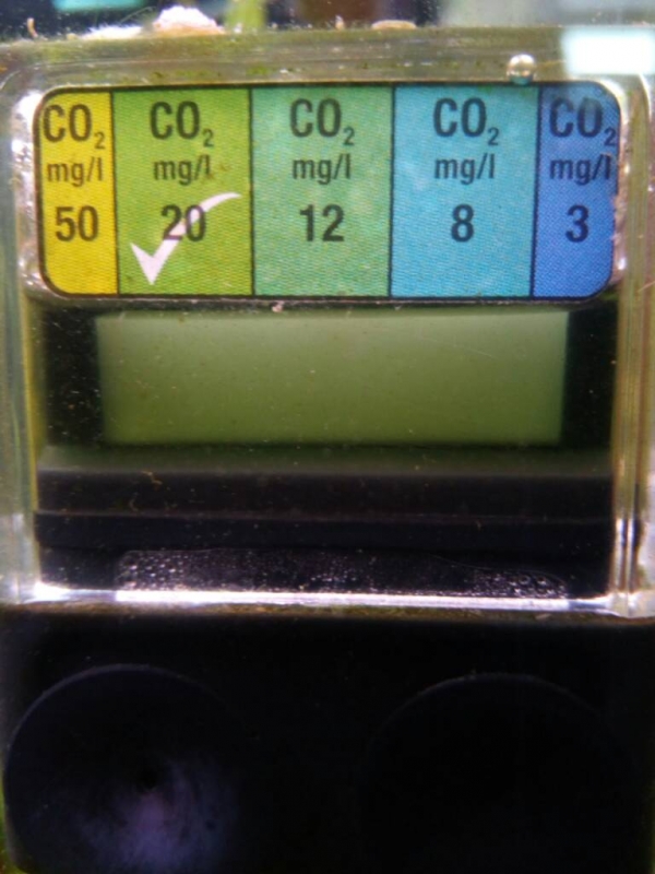 1484140591301.jpg