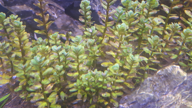20170115_175602.jpg