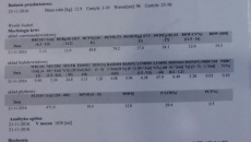 Zbiórka na leczenie i rehabilitację Małej Jagody
