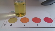 Test Zoolek NO3 - fakty i mity