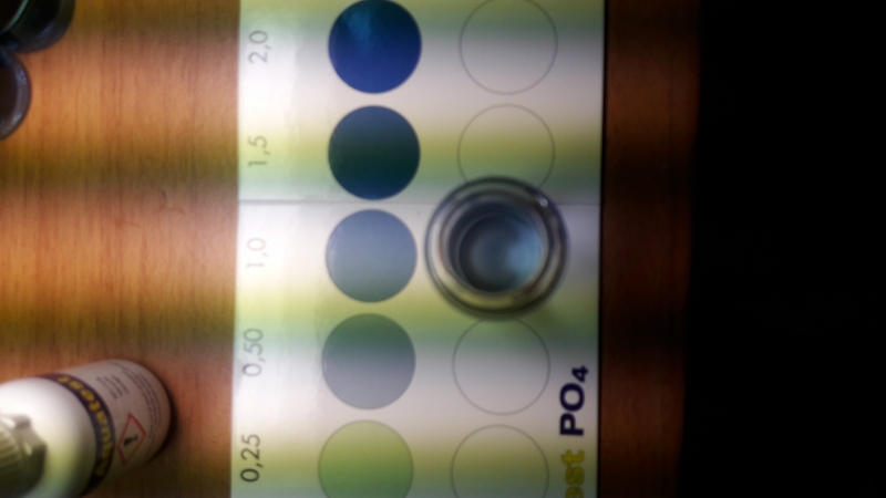 1ppm_02.jpg