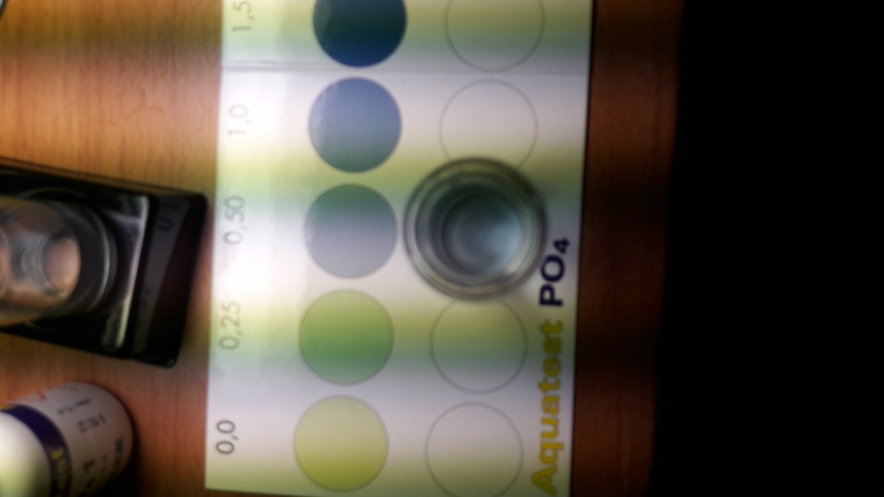0,5ppm_02.jpg