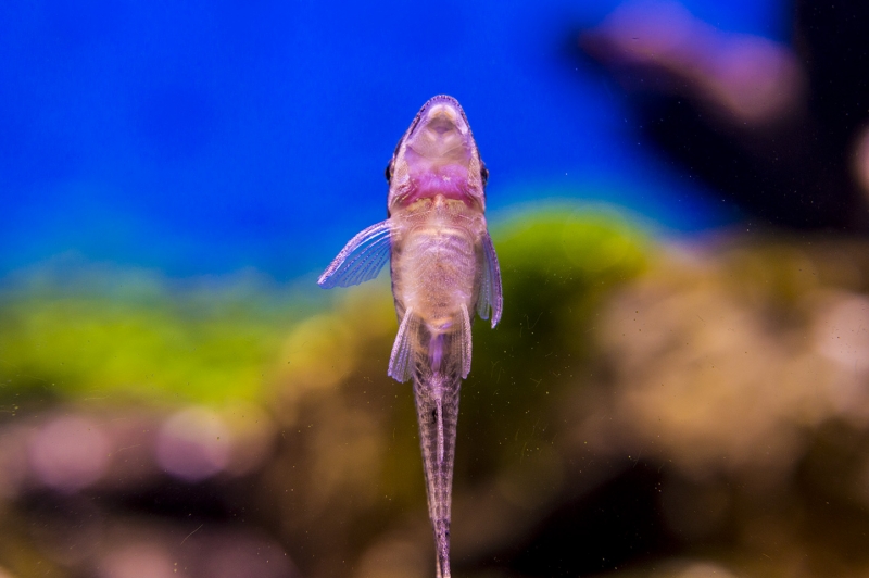 DSC_0091.jpg