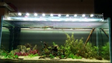 DIY - Lampa LED COB 250W (25x10W)