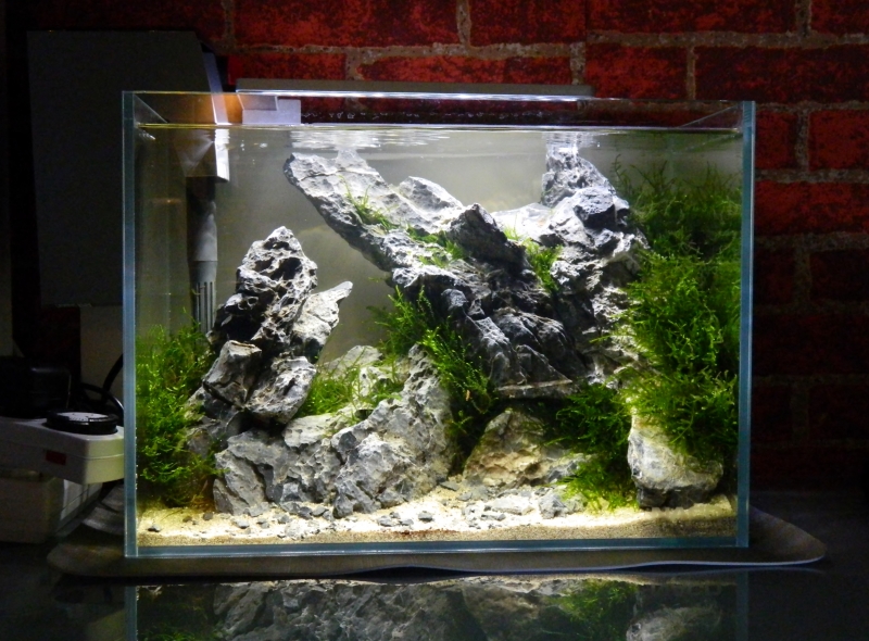 DSCN3917.JPG