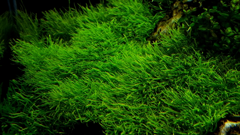 20170126_153137.jpg