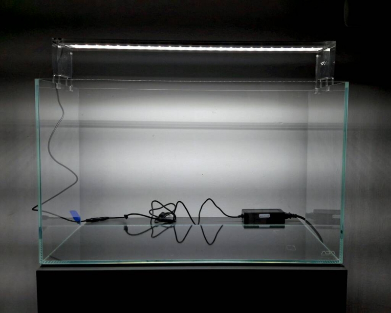 1485634540028.jpg