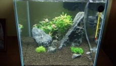 043l - Cubicle Opti White
