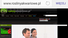 Redakcja RA - pomysły i zgłoszenia błędów na stronie
