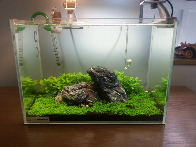 20130910_132430.jpg