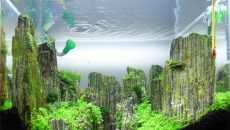 100l - Slate canyon - mirek5566