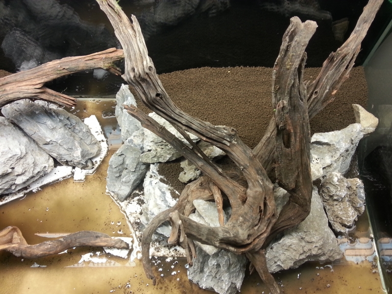 20131206_125001.jpg