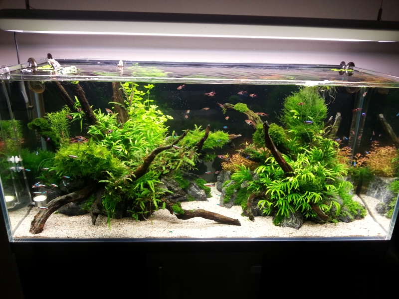 20140928_172943.jpg