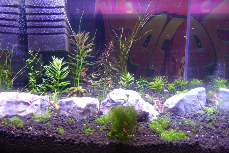 P1020463.JPG