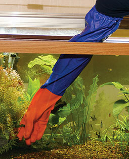 aqua gloves.jpg