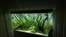 250l - Stones and roots - ynfqaab