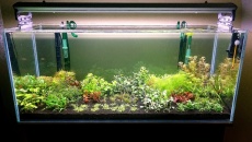 300l - Projekt Tropica - Godween