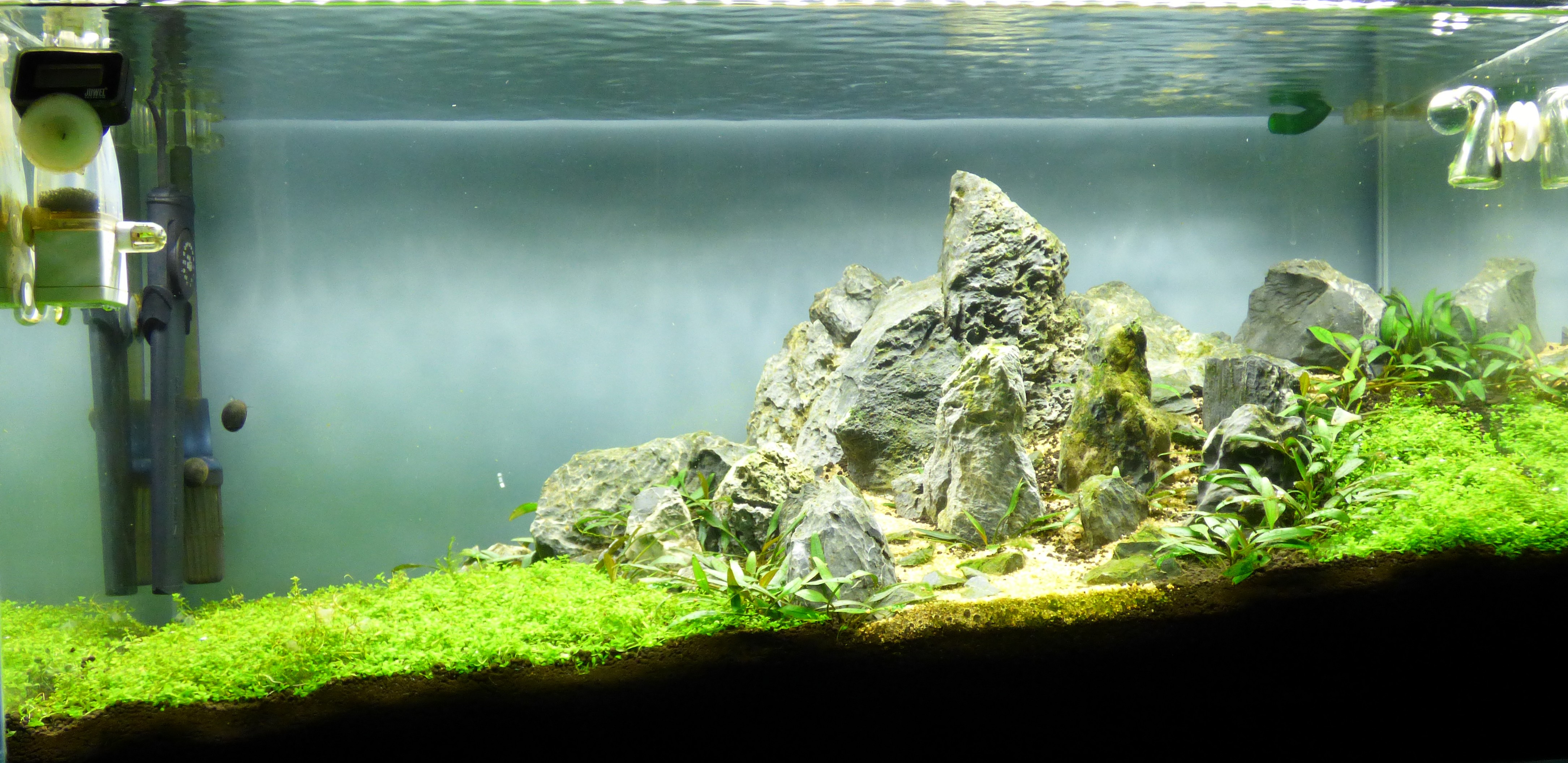 P1040714-1.jpg