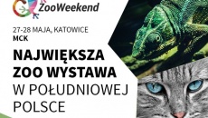 ZooWeekend Katowice 2017