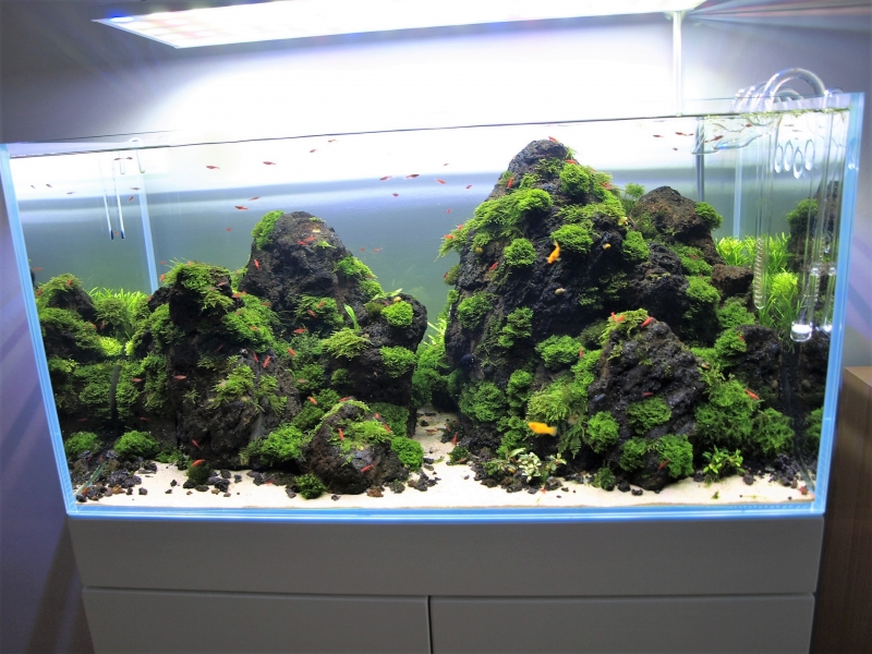 P4173704 (2).jpg