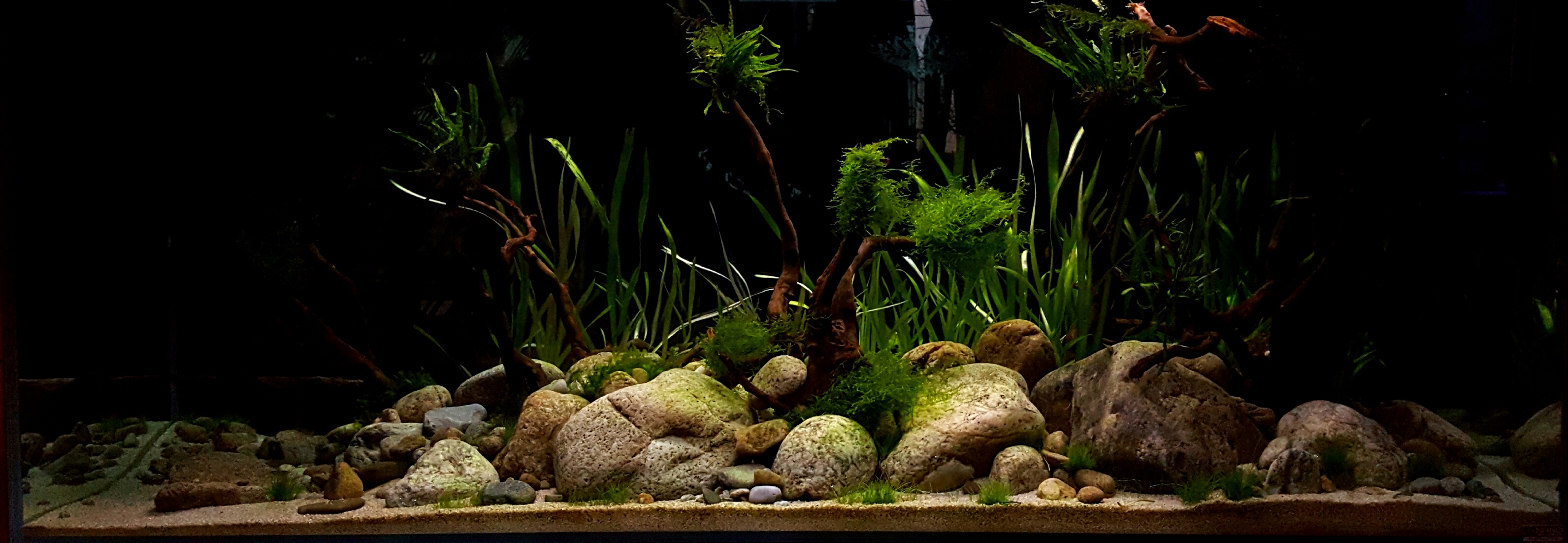20170412_130409.jpg