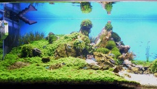 500l - The Pirate Corner - Prospero