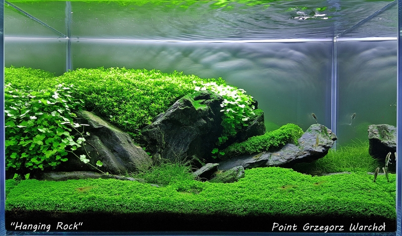 Hanging Rock - Point - Grzegorz Warchoł.jpg