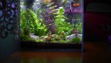 042l - Mini Aqua Chill - plemnik166