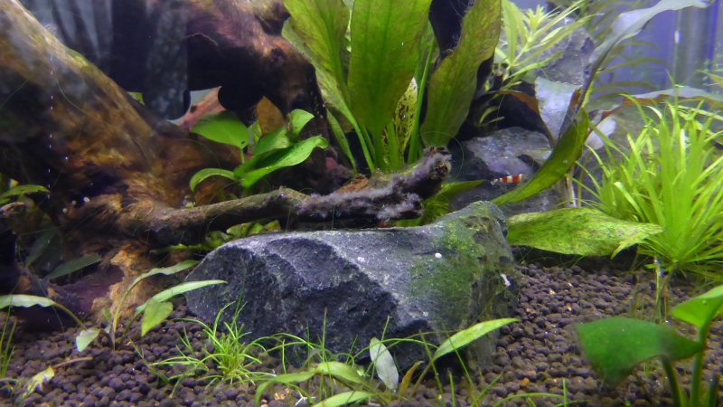P1020576.JPG