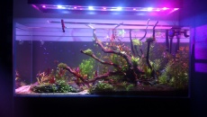 300l - Aqua Chill - p166