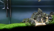 112l  - Submerged paths - mirek5566