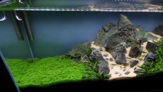 112l  - Submerged paths - mirek5566