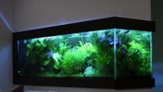 260l - Białe Glossy - Lali75