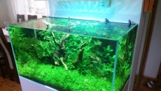 172l - Max Low Tech - florek
