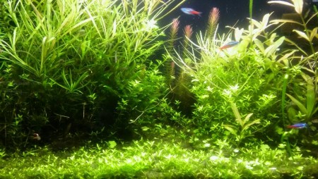 20170603_082229.jpg