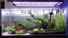 300l - Aqua Chill - p166