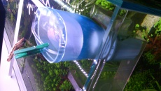 300l - Aqua Chill - p166