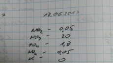 Czego brakuje moim roślinkom