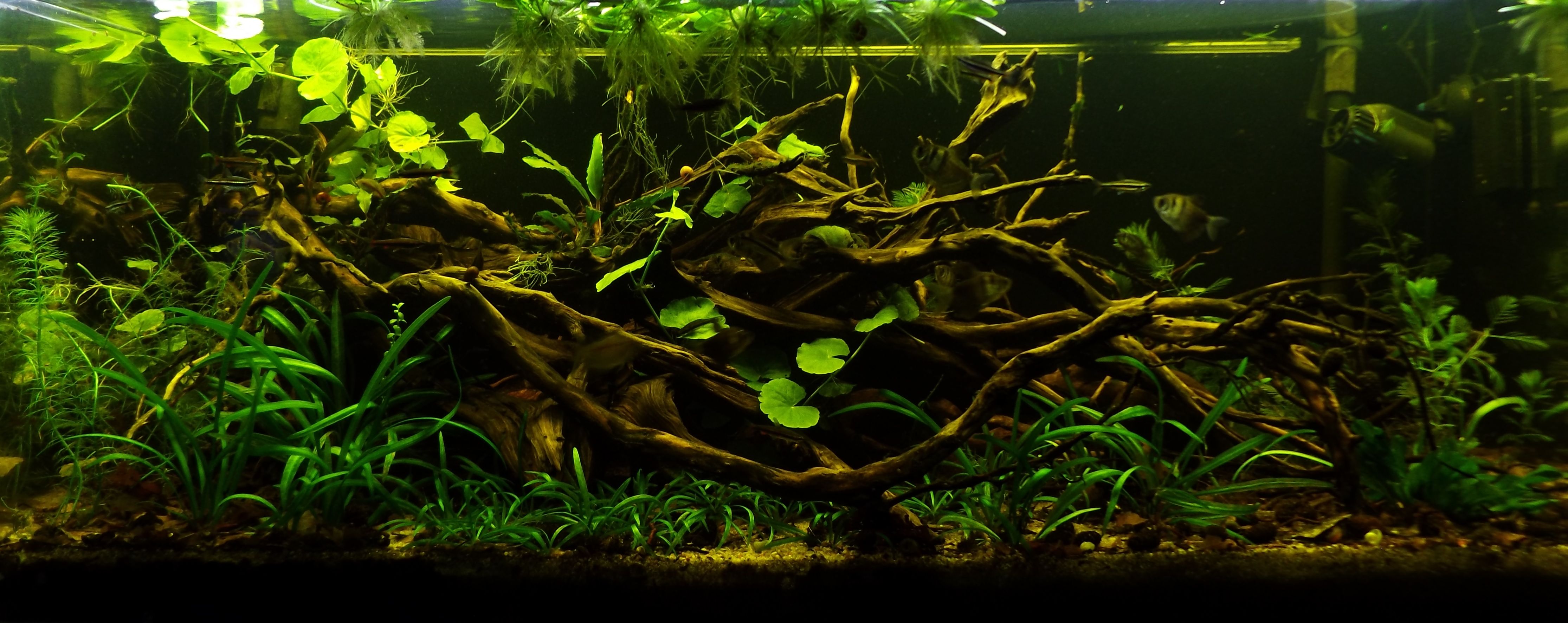 DSCF3306.jpg